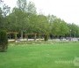  - Tagore sétány és emlékfapark