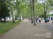Tagore sétány és emlékfapark