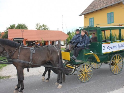   - Gyenesi Íz-lelő, egész napos izgalmas gasztrotúra Gyenesdiáson