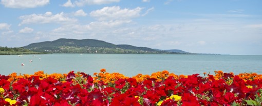 Tavaszi Zsongas Balaton  - Tavaszi zsongás Almádiban