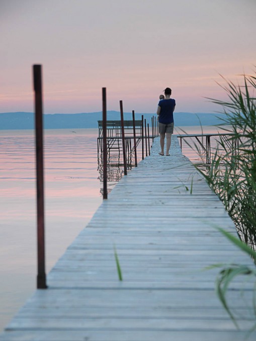   - Tóparti Apartmanház Balatonszárszó