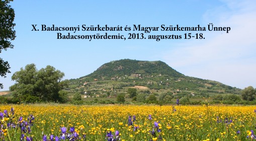   - Badacsonyi Szürkebarát és Magyar Szürkemarha Ünnep